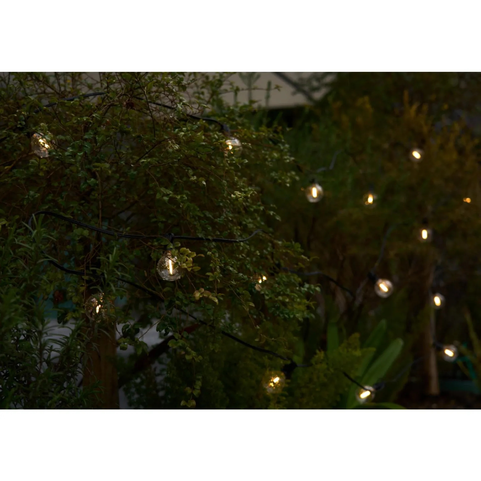 D'Lite Sparkl LED Ljusslinga 4W 250lm - 827 Extra Varm Vit | IP44 - 5x 5m (25m Totalt)