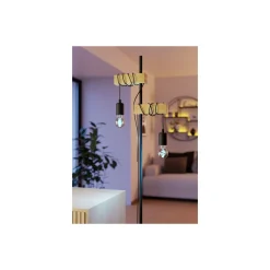 Dubbelpack Eglo LED E27 Päron Ambar Filament 7W 806lm - 822-865 Justerbar Vit | Ersättare 60W