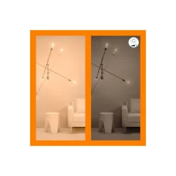 Dubbelpack 2x WiZ Smart LED E27 Edison Filament Guld 7W 640lm | Bästa Färgåtergivning - Dimbar - Ersättare 50W