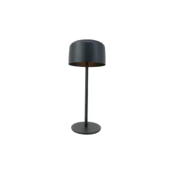 Eglo Bordslampa Roccanova Solar Stål Svart 2W 270lm - 830 Varm Vit | IP44 - Touchdimmerbar - USB-C
