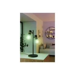 Eglo LED E27 Globe Klar Filament 7.5W 806lm - 830 Varm Vit + RGB | Zigbee Dimbar - Ersättare 60W