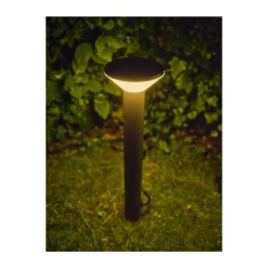 Ledvance LED Pollare Olona Grå 2W 140lm - 830 Varm Vit | 50cm - IP44