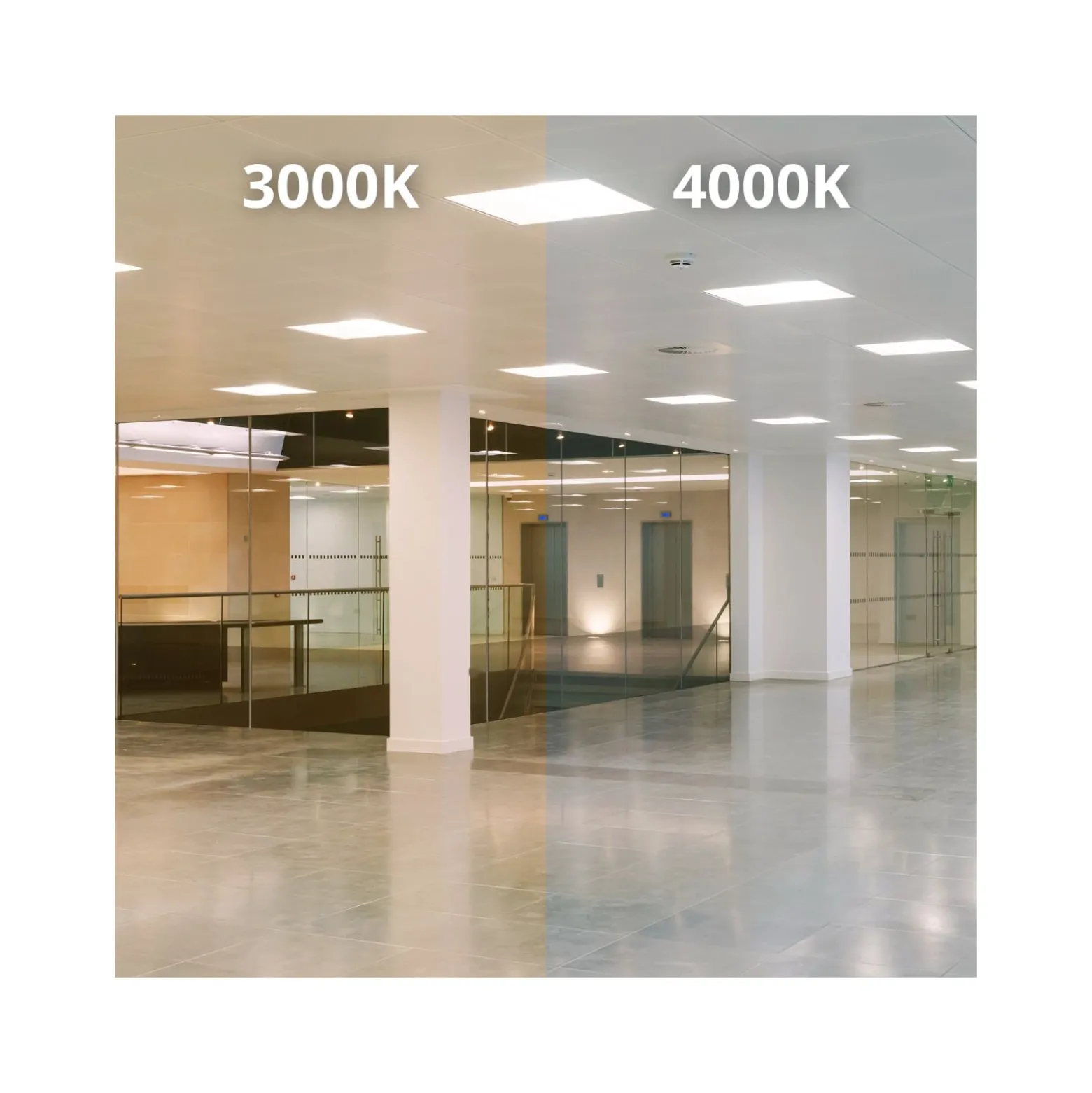 Noxion LED Panel Delta Pro V3 30W 3960lm - 830 Varm Vit | 60x60cm - UGR <19 - Philips Xitanium Drivdon - GST18 Manlig