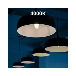 Noxion Lucent LED E27 Päron Filament Klar 7W 806lm - 840 Kallvit | Ersättare 60W
