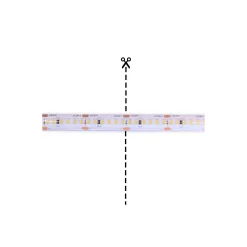 Noxion Naga Led-Ljusslingor IP65 SMD2835/240 24V 16W/m 940 5M/10mm/25mm