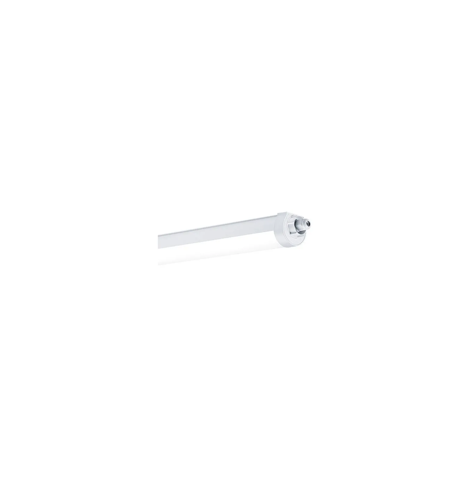 THORNeco LED Allmänbruksarmatur Vattentät Lucy 16.5W 2000lm - 840 Kallvit | 60cm - Kabelgenomföring