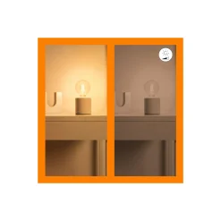 WiZ Smart LED E27 Globe G95 Filament Guld 7W 640lm | Bästa Färgåtergivning - Dimbar - Ersättare 50W