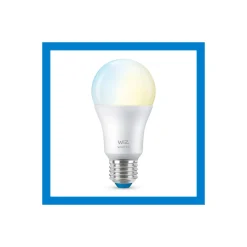 WiZ Smart LED E27 Päron Matt 8W 806lm | Bästa Färgåtergivning - Dimbar - Ersättare 60W